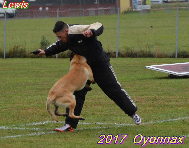2017-oyo Lewis Gaf.jpg